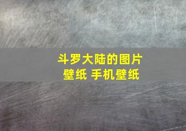 斗罗大陆的图片 壁纸 手机壁纸